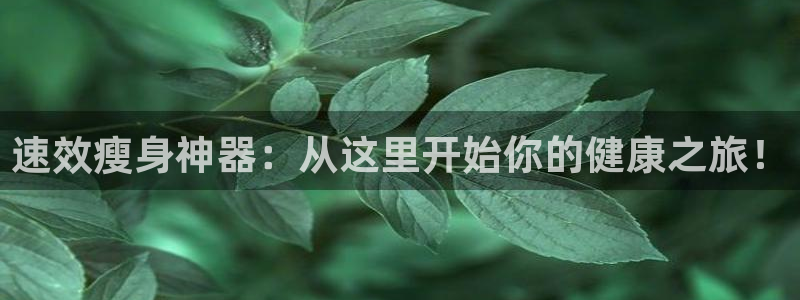 征途国际集团：速效瘦身神器：从这里开始你的健康之旅！
