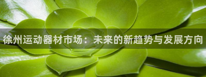 征途国际招商：徐州运动器材市场：未来的新趋势与发展方