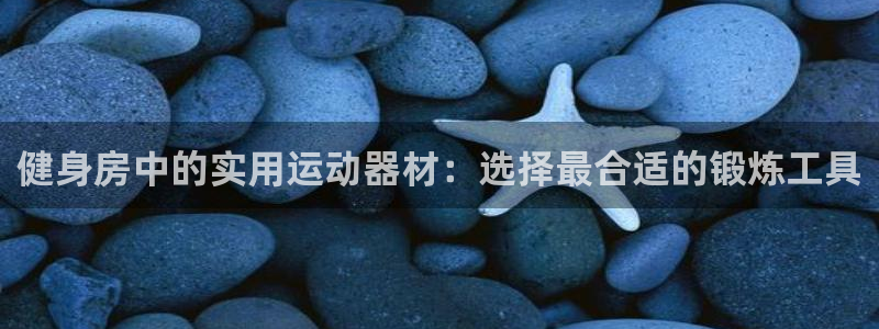 海南征途国际发展怎么样：健身房中的实用运动器材：选择最合适的