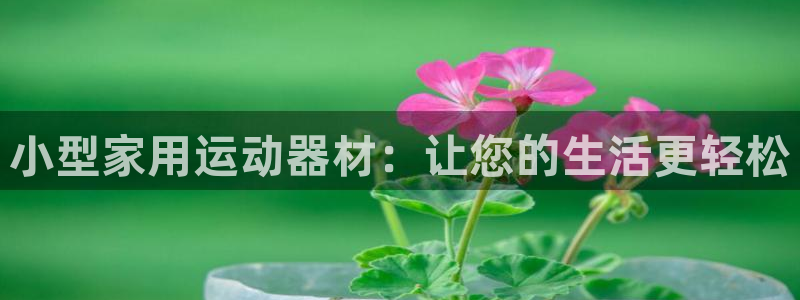 海南征途国际发展怎么样：小型家用运动器材：让您的生活