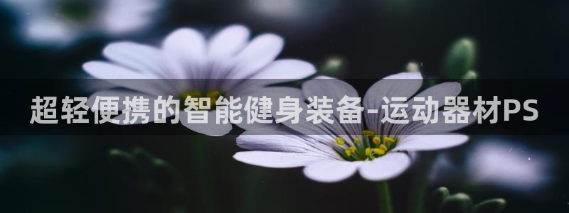 征途国际：超轻便携的智能健身装备-运动器材PS