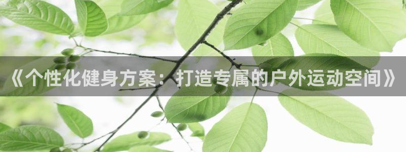 征途国际平台：《个性化健身方案：打造专属的户外运动空间》