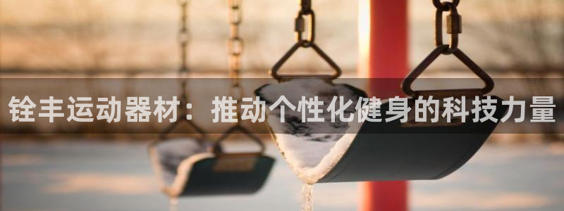 征途国际软件：铨丰运动器材：推动个性化健身的科技力量