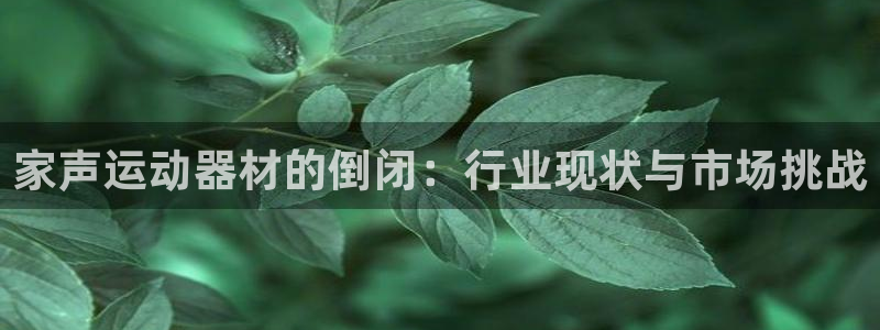 征途国际代理：家声运动器材的倒闭：行业现状与市场挑战
