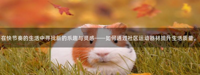 征途国际娱乐下载