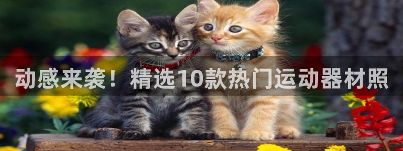 征途国际招商电话号码是多少啊：动感来袭！精选10款热门运动器