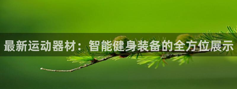征途国际娱乐首页网站大全：最新运动器材：智能健身装备的全方位