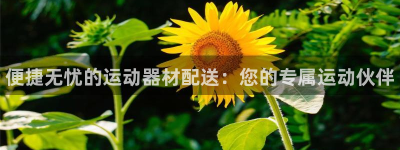 征途国际招商电话地址：便捷无忧的运动器材配送：您的专