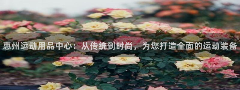 征途国际招商电话是多少号码