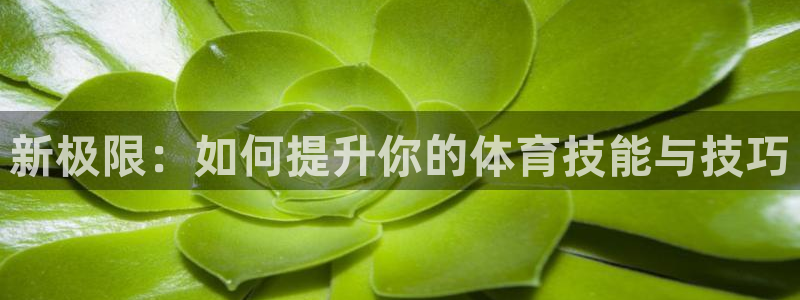 征途国际平台注册流程图：新极限：如何提升你的体育技能