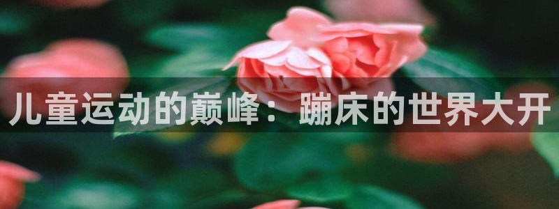 征途国际招商电话号码是多少：儿童运动的巅峰：蹦床的世