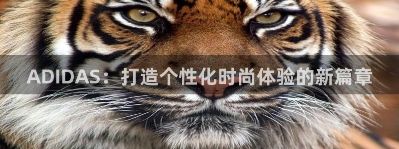 征途国际招商电话号码查询：ADIDAS：打造个性化时