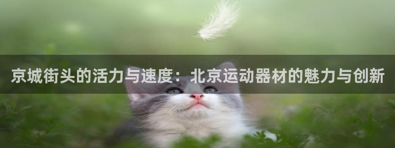 征途国际集团E.ON：京城街头的活力与速度：北京运动