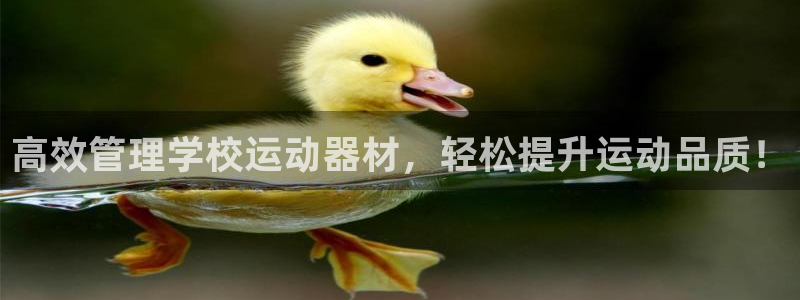征途国际招商电话号码查询是多少：高效管理学校运动器材