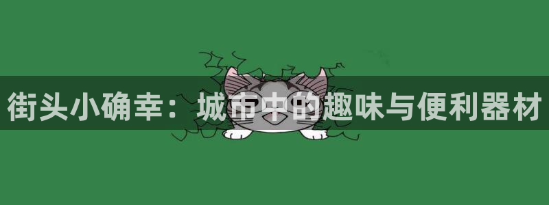 海南征途国际