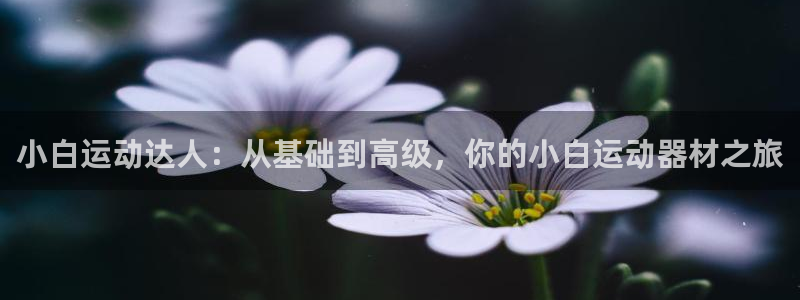 征途国际联系电话：小白运动达人：从基础到高级，你的小白运动器