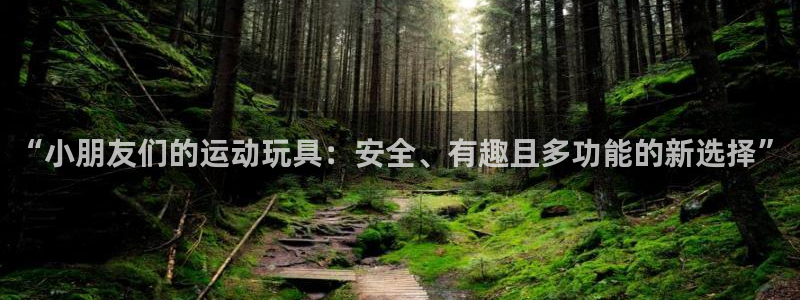 征途国际神州：“小朋友们的运动玩具：安全、有趣且多功能的新选