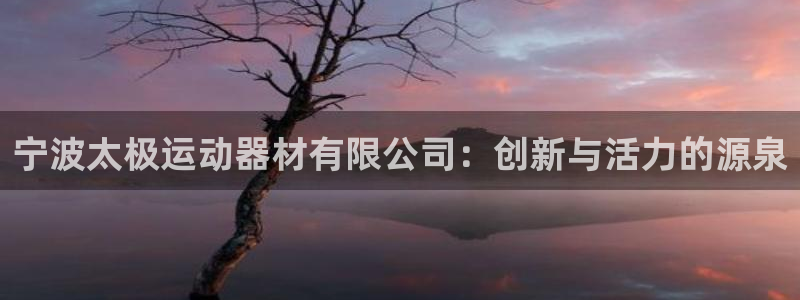 征途国际招商电话号码查询：宁波太极运动器材有限公司：创新与活