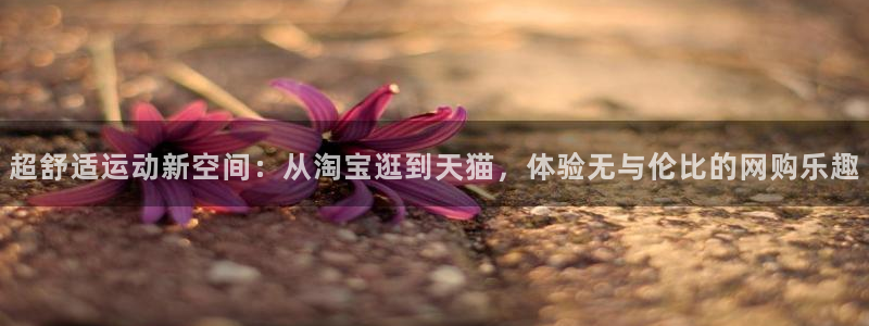 征途国际是干嘛的公司
