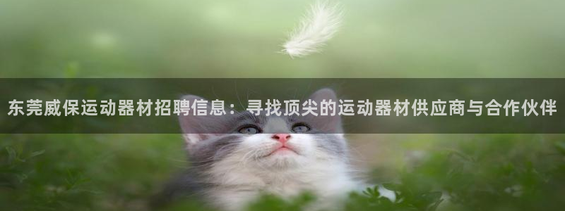 征途国际招商电话号码：东莞威保运动器材招聘信息：寻找顶尖的运