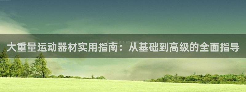 征途国际平台是正规平台吗安全吗：大重量运动器材实用指南：从基